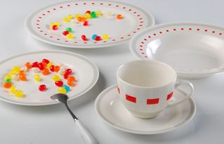 陶瓷餐具品牌大揭秘 吸水率超低的優質之選